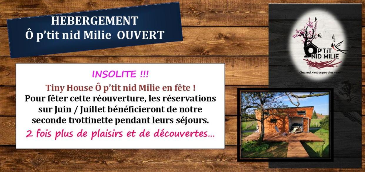 Ô p'tit nid Milie Bellefontaine (Vosges) Exterior foto